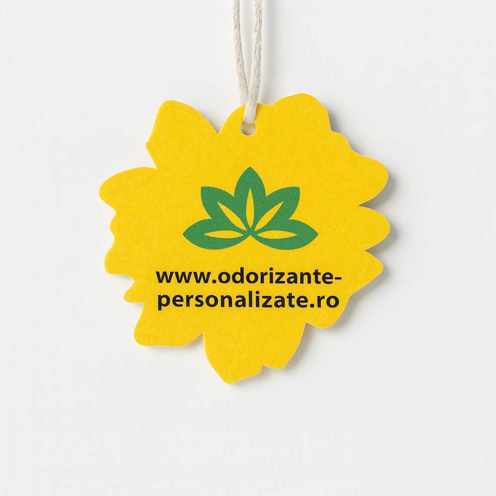 Odorizant Auto Personalizat Strop de Vopsea